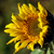 Image-square_50