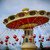 Image-square_50