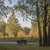 Image-square_50
