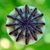 Image-square_50