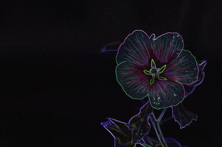 Image-normal