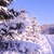 Image-square_50