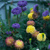 Image-square_50