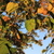 Image-square_50