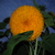 Image-square_50