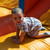 Image-square_50