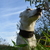 Image-square_50