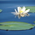 Image-square_50
