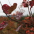 Image-square_50