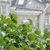 Image-square_50