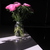 Image-square_50