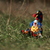 Image-square_50