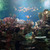Image-square_50