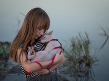 Image-rectangle_220_165