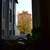Image-square_50