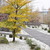 Image-square_50