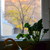 Image-square_50
