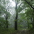 Image-square_50