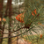 Image-square_50
