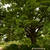 Image-square_50