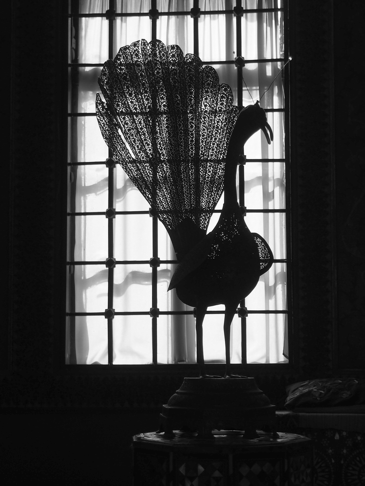 Image-normal