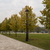 Image-square_50