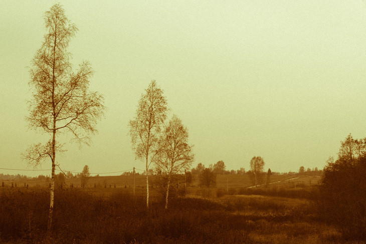 Image-normal