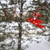 Image-square_50