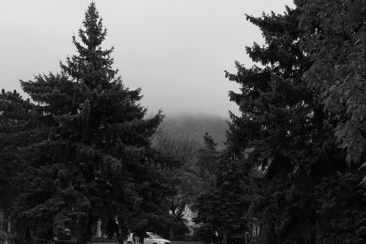 Image-normal