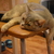 Image-square_50