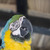 Image-square_50