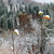 Image-square_50