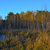 Image-square_50