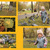 Image-square_50