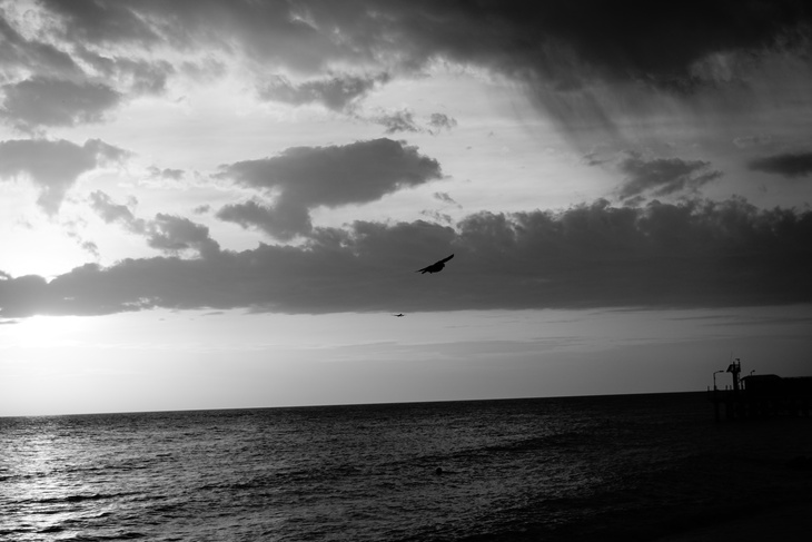 Image-normal
