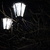 Image-square_50