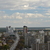 Image-square_50