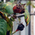 Image-square_50