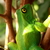 Image-square_50