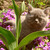 Image-square_50