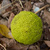 Image-square_50