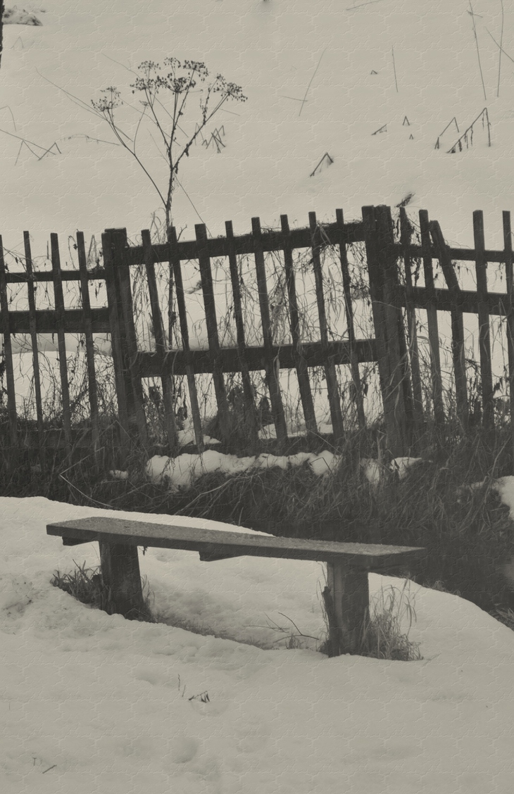 Image-normal