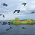 Image-square_50