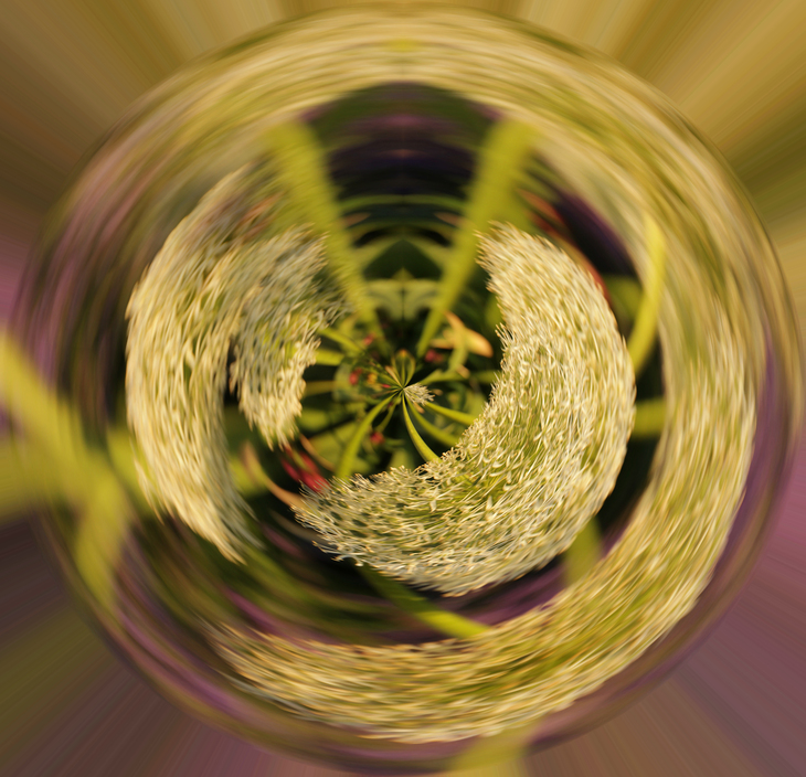 Image-normal