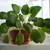 Image-square_50