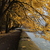 Image-square_50
