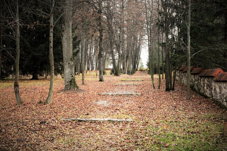 Image-normal