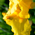 Image-square_50