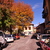 Image-square_50