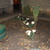 Image-square_50